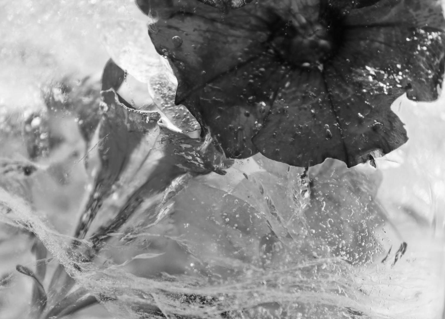 Professionelle Floristin beim Arrangieren eines kunstvollen Blumengestecks